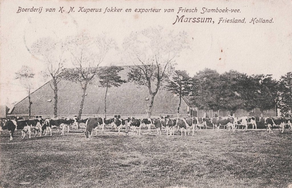Marssum–Boerderij K.N. Kuperus. Gelopen Mechelen-Wittem 1906, Ophalen of Verzenden, Voor 1920, Gelopen, Friesland
