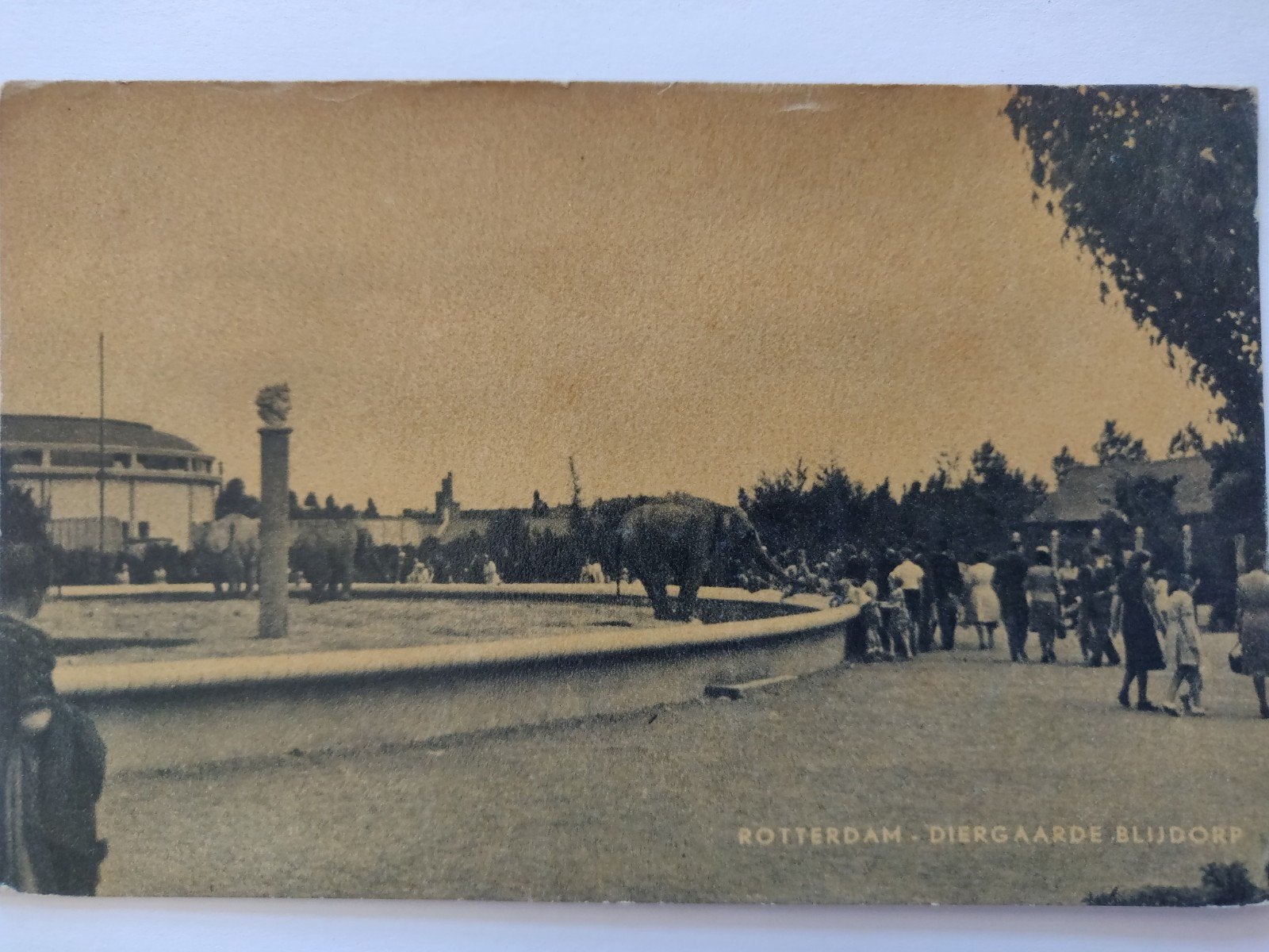 c2174 blijdorp, Ophalen of Verzenden, 1920 tot 1940