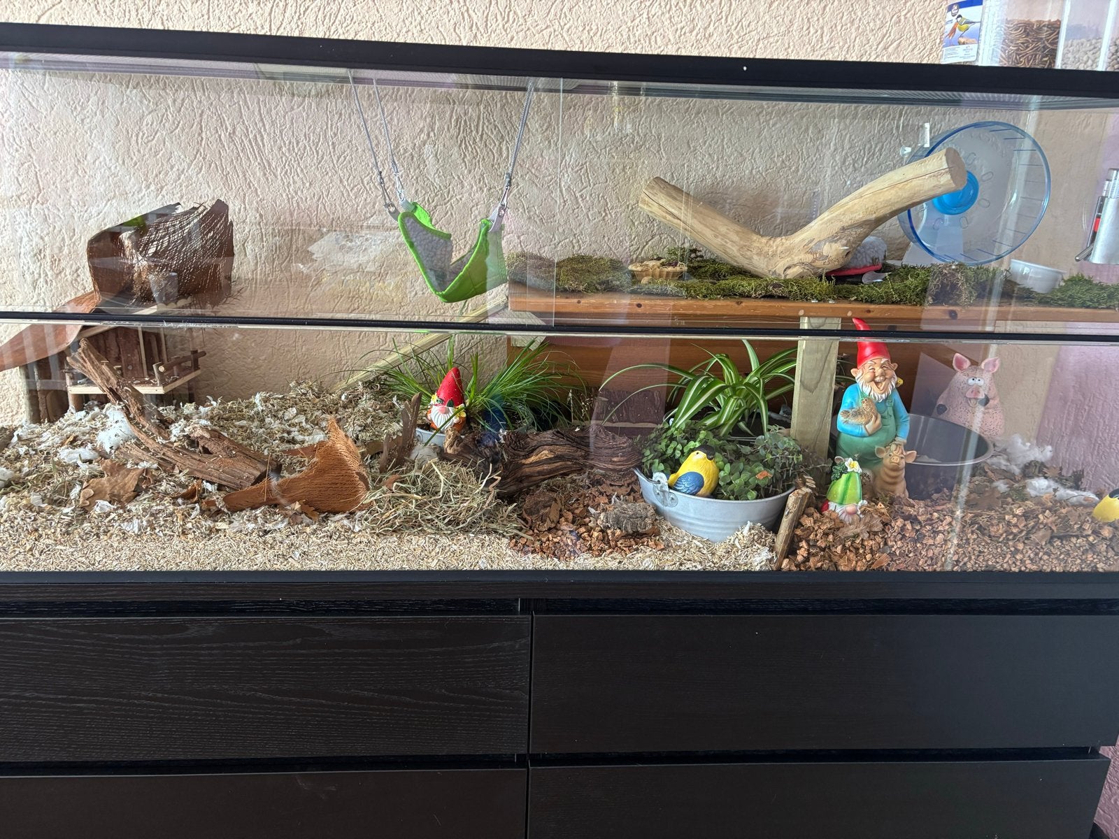 Foto 2 van Groot Terrarium
