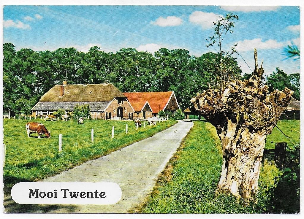 Twente Boerderijen Gelopen Ansichtkaart ( B4309), Ophalen of Verzenden, 1980 tot heden, Gelopen, Overijssel
