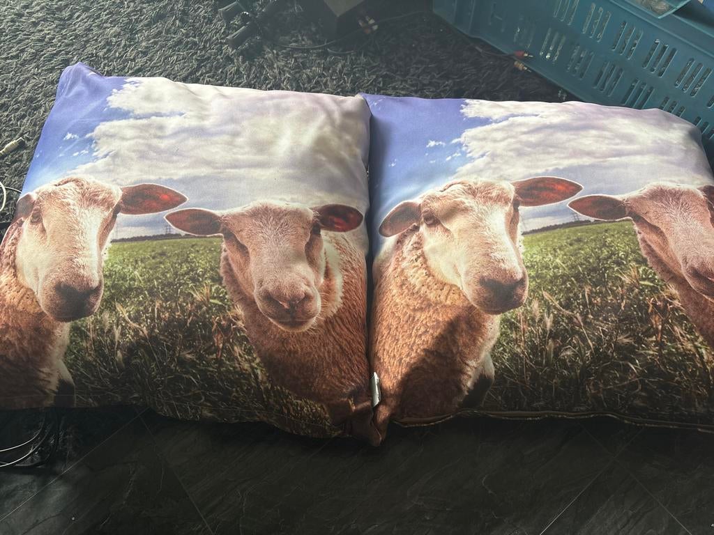 Kussen met schapenprint 2 keer, Ophalen, Gebruikt, Overige kleuren, Rechthoekig