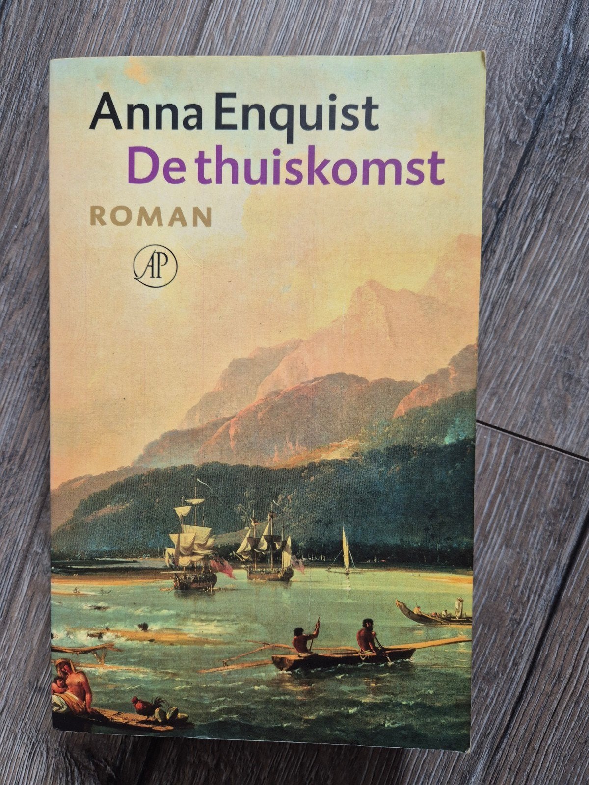 De thuiskomst - Anna Enquist (Roman), Ophalen of Verzenden, Gelezen, Anna Enquist, Nederland