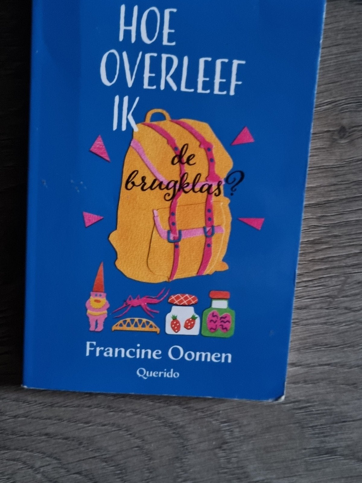 Hoe overleef ik de brugklas? - Francine Oomen, Boeken, Kinderboeken | Jeugd | 13 jaar en ouder, Gelezen, Fictie, Ophalen of Verzenden