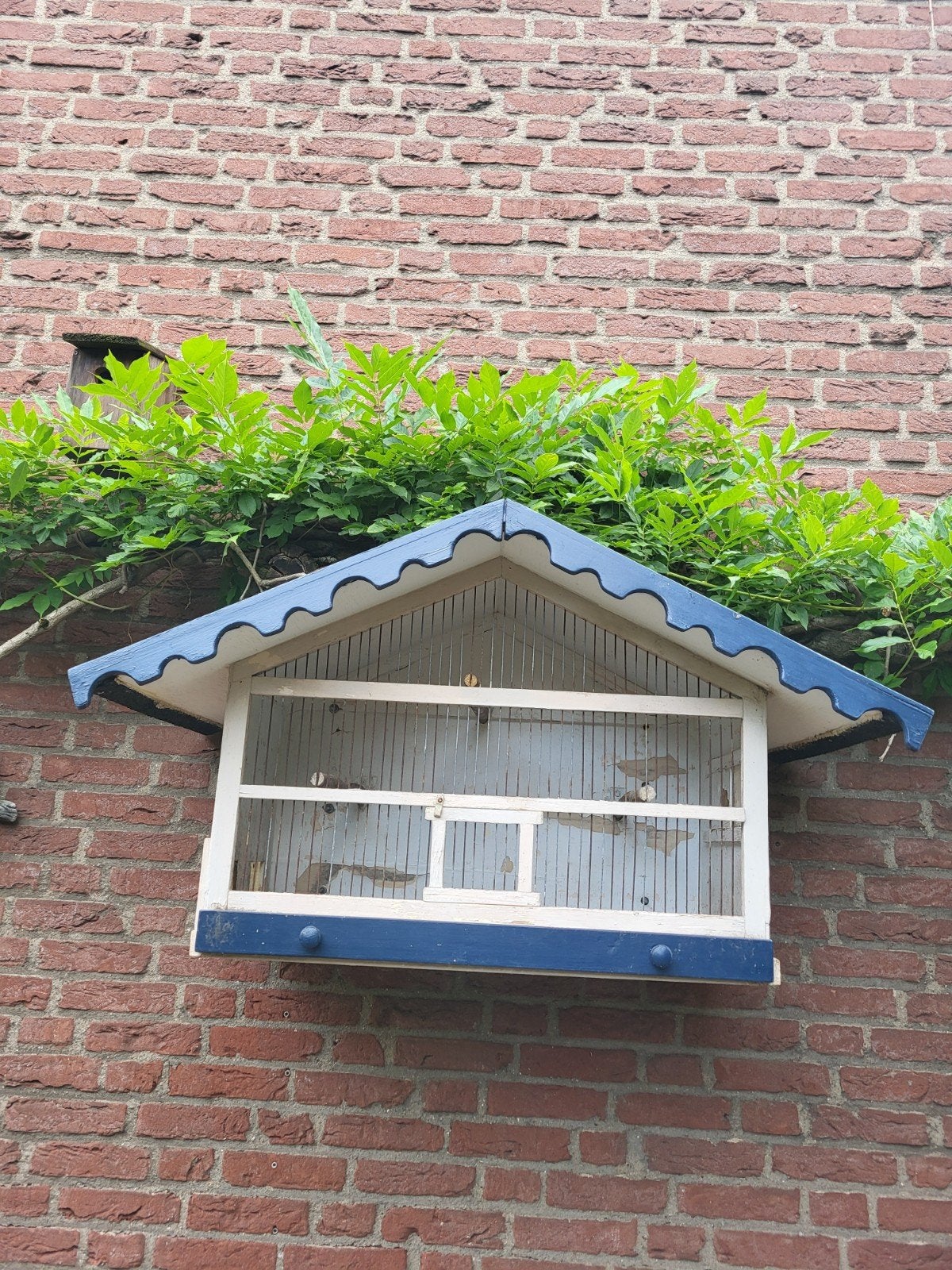 Lijsterkooi, Dieren en Toebehoren, Vogels | Hokken en Kooien, Ophalen, Hout, Vogelkooi