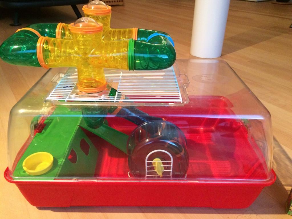 Mooi hok incl accessoires! Voor hamster, muis of rat., Minder dan 75 cm, Hok, Ophalen, Minder dan 60 cm