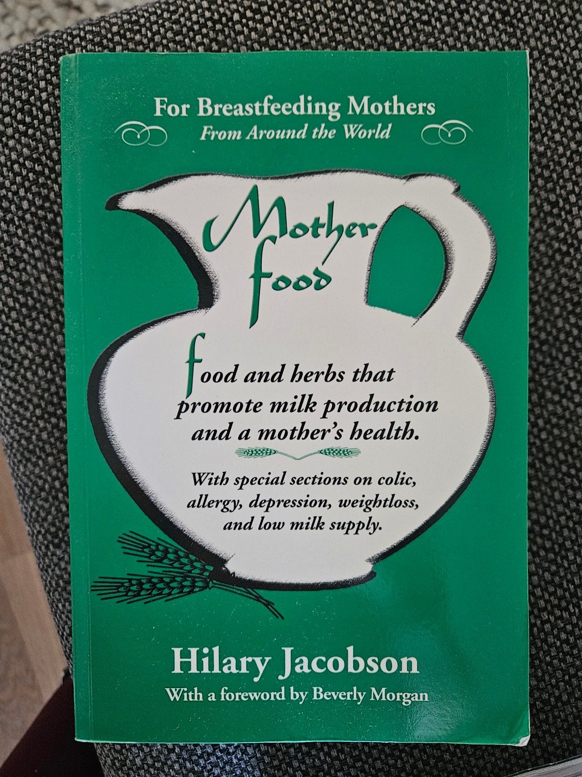Motherfood: Voeding voor moeders die borstvoeding geven, Boeken, Zwangerschap en Opvoeding, Ophalen of Verzenden, Gelezen, Zwangerschap en Bevalling