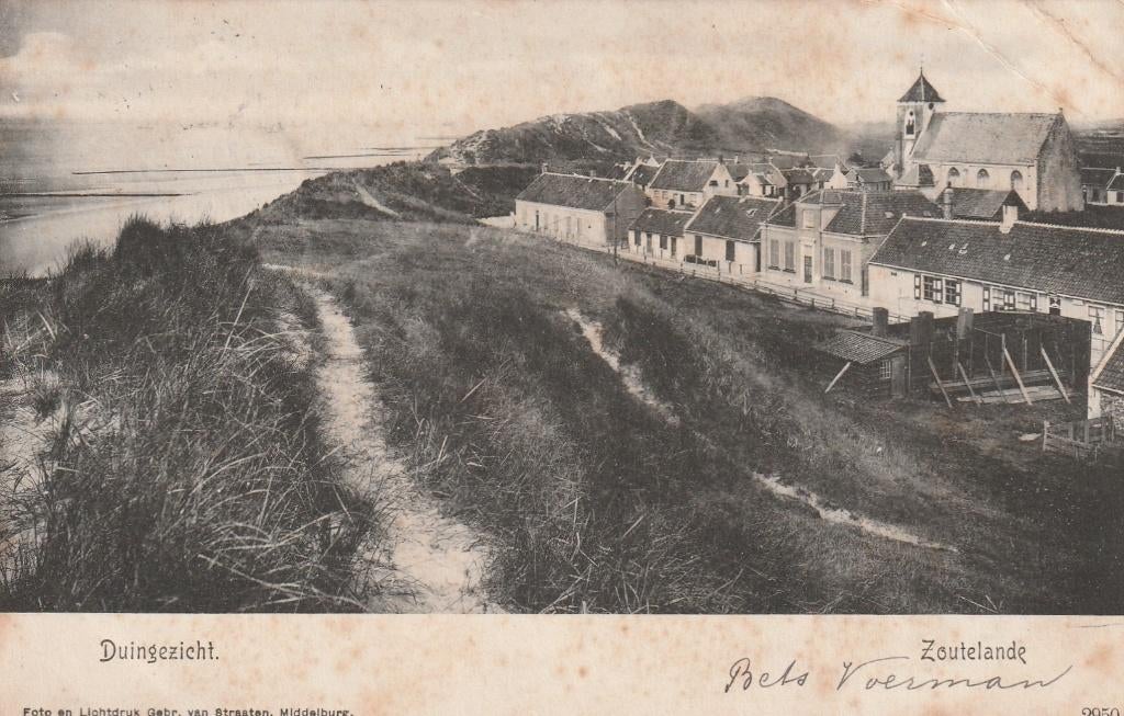 ZOUTELANDE Duingezicht 1904, Verzenden, Voor 1920, Gelopen, Zeeland