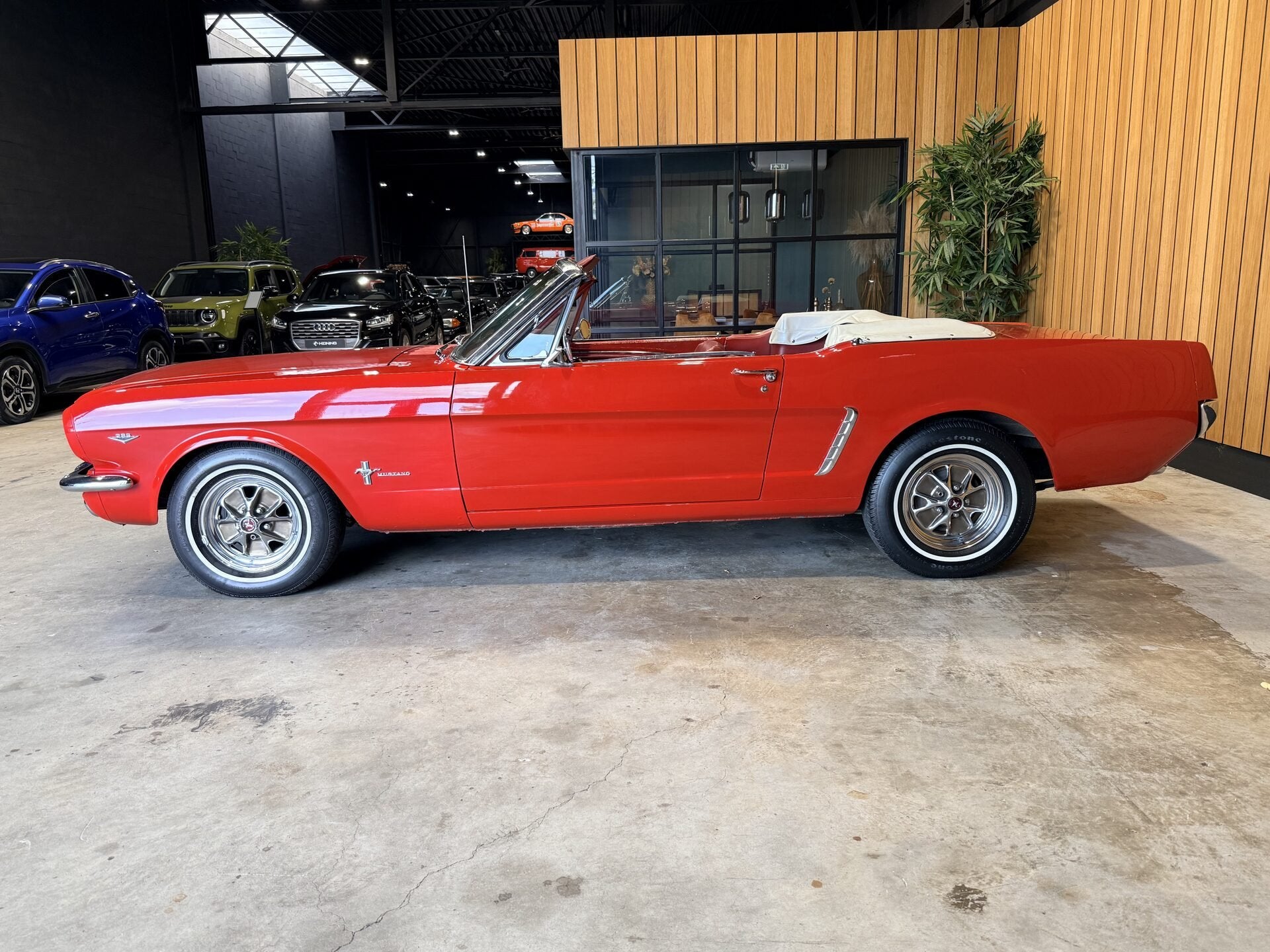 Ford Mustang Convertible 289 V8 Automaat. vvfffvf, foto 6