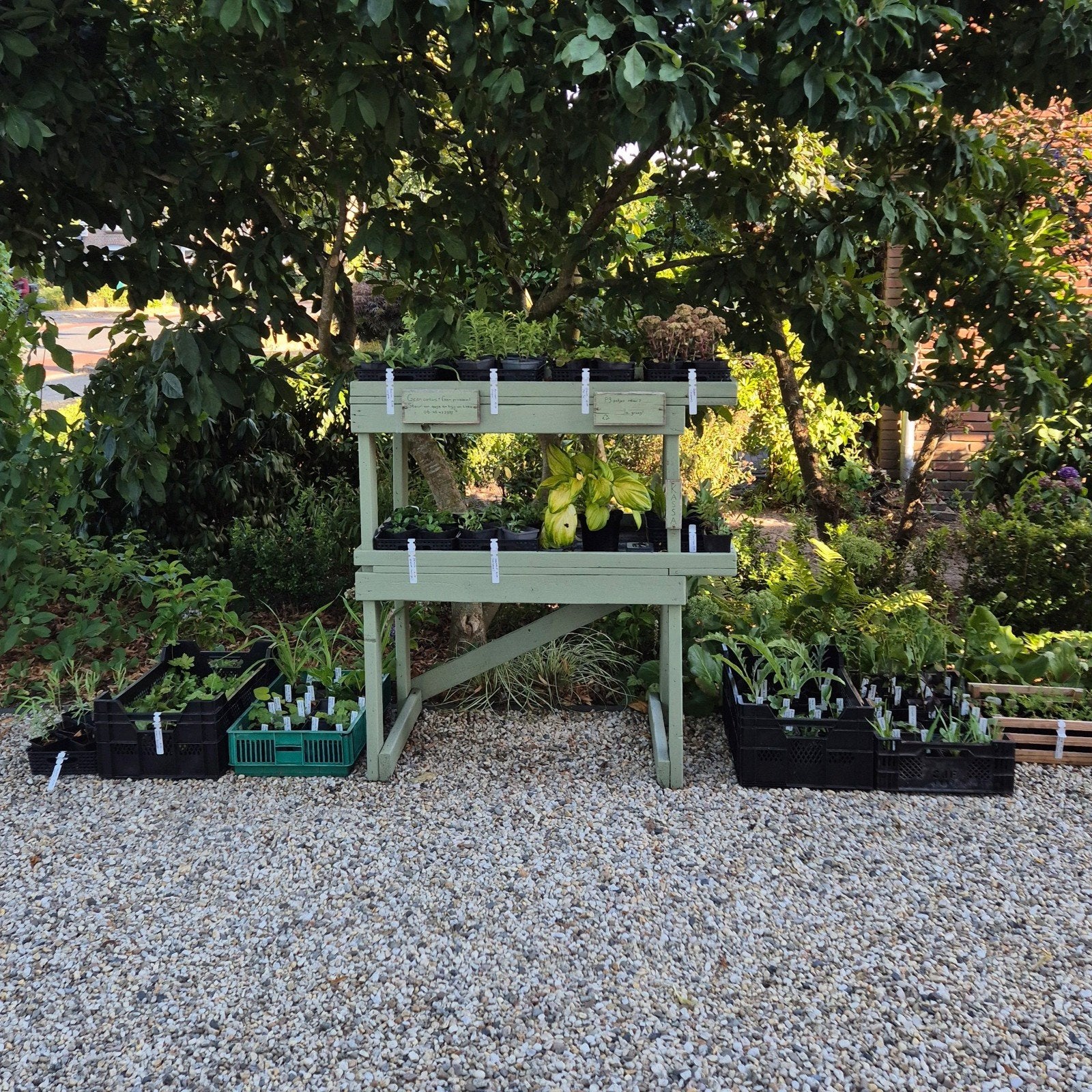 Plantenkraam | Vaste Planten, Ophalen