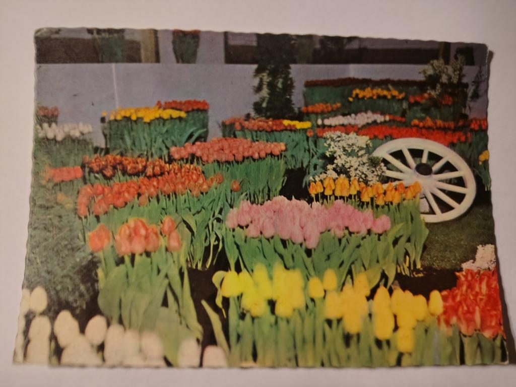 Bovenkarspel, Ophalen of Verzenden, 1940 tot 1960, Gelderland