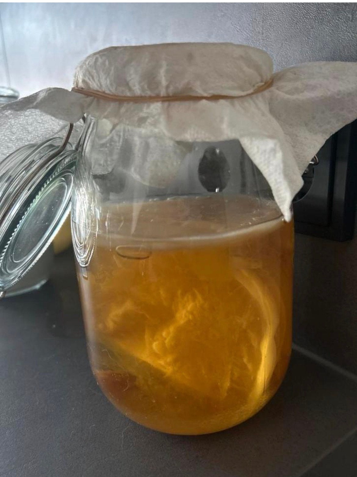 Kombucha scoby, Diversen, Ophalen