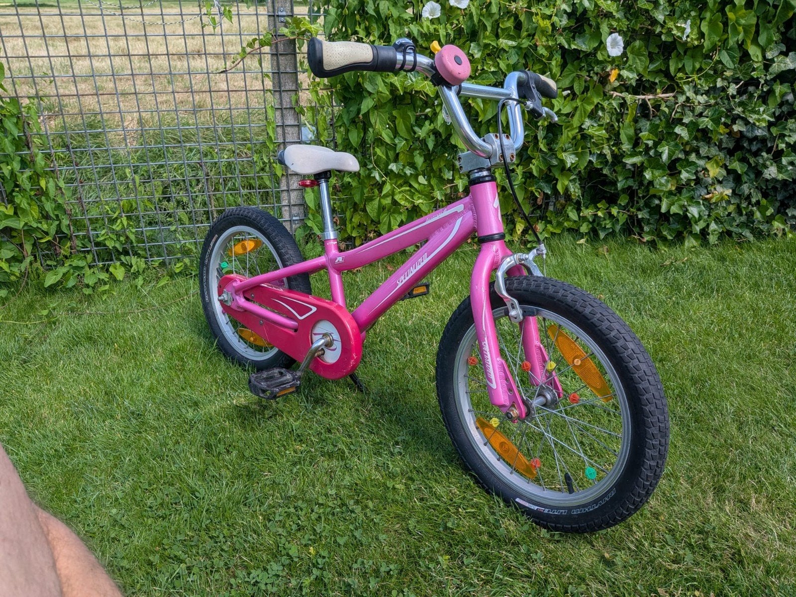 specialized roze fiets 16 inch, Ophalen, Gebruikt, 16 tot 20 inch, Zijwieltjes
