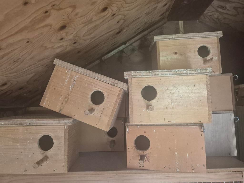 Broedhokjes vogeltjes, parkieten, etc., Ophalen, Gebruikt, Hout, Broedkooi of Kweekkooi