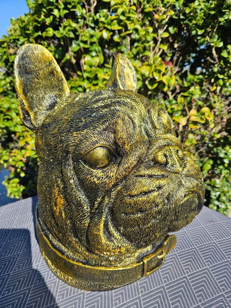 Franse bulldog kop ,polyester, Ophalen, Nieuw, Kunststof, Dierenbeeld