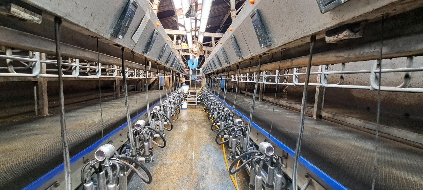 Melkstal 2x12 delaval