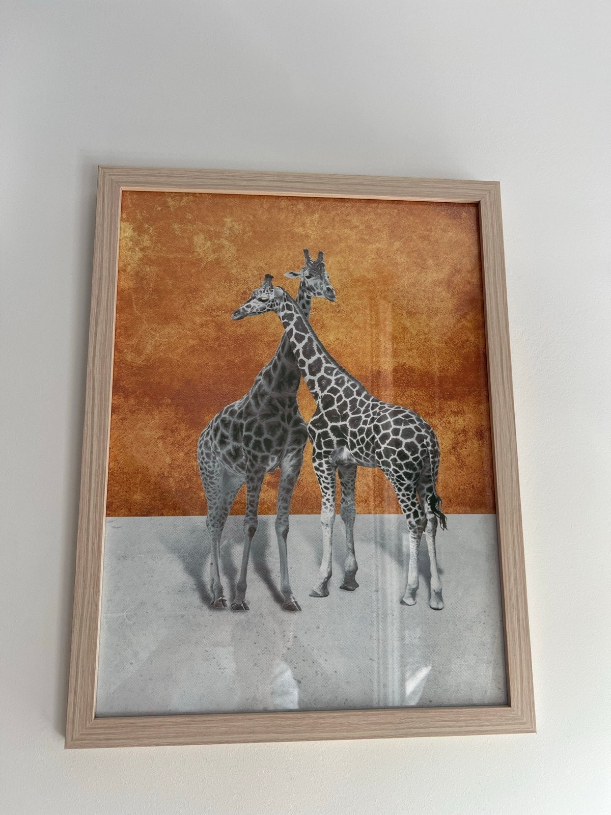 Set van 3 ingelijste prints met dieren, 50 – 75, Minder dan 50 cm, Ophalen of Verzenden, Print
