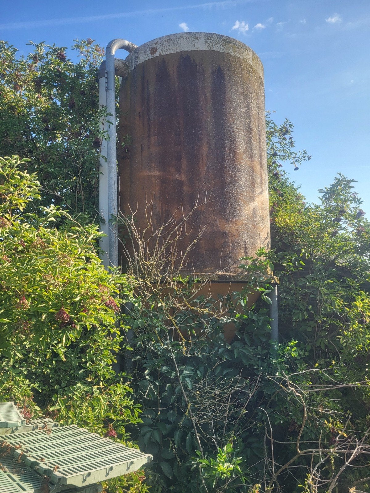 voersilo gratis, Dieren en Toebehoren, Ophalen, Vee