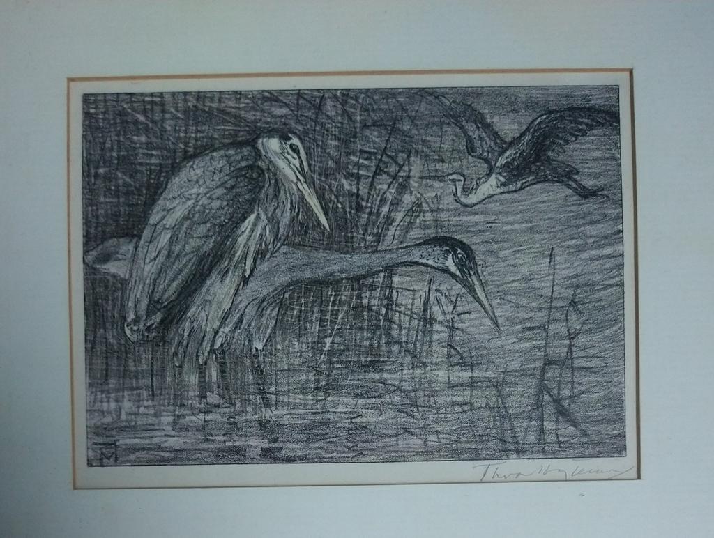 Theo van Hoytema (1863-1917) - litho in potlood gesigneerd, Ophalen of Verzenden