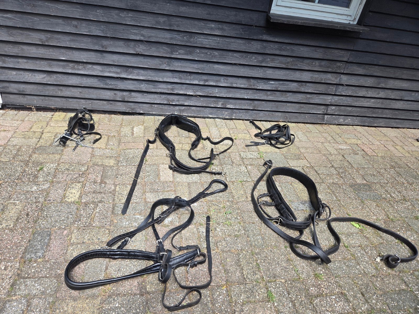 Compleet mooi leren mentuig. Goed onderhouden., Ophalen