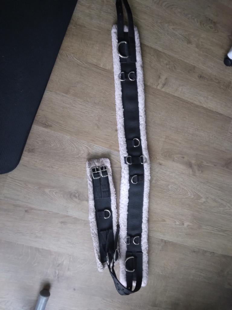 Longeersingel pony/cobb, Dieren en Toebehoren, Ophalen of Verzenden, Zo goed als nieuw, Dressuur