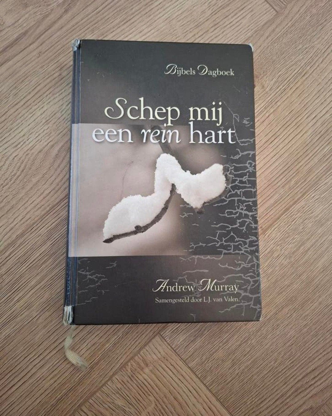 Andrew Murray - dagboek - Schep mij een rein hart, Boeken, Godsdienst en Theologie, Ophalen of Verzenden