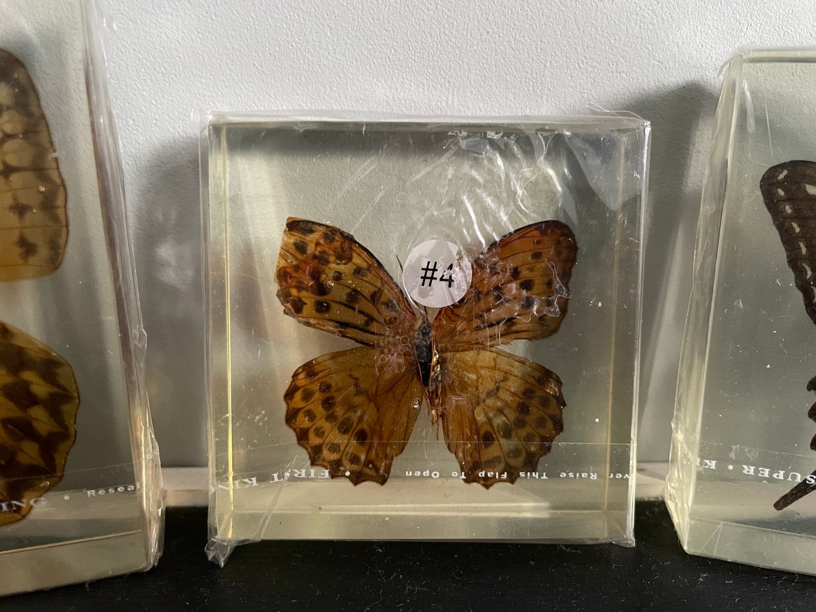 Opgezette vlinders in hars, Ophalen of Verzenden, Gebruikt, Insect, Opgezet dier