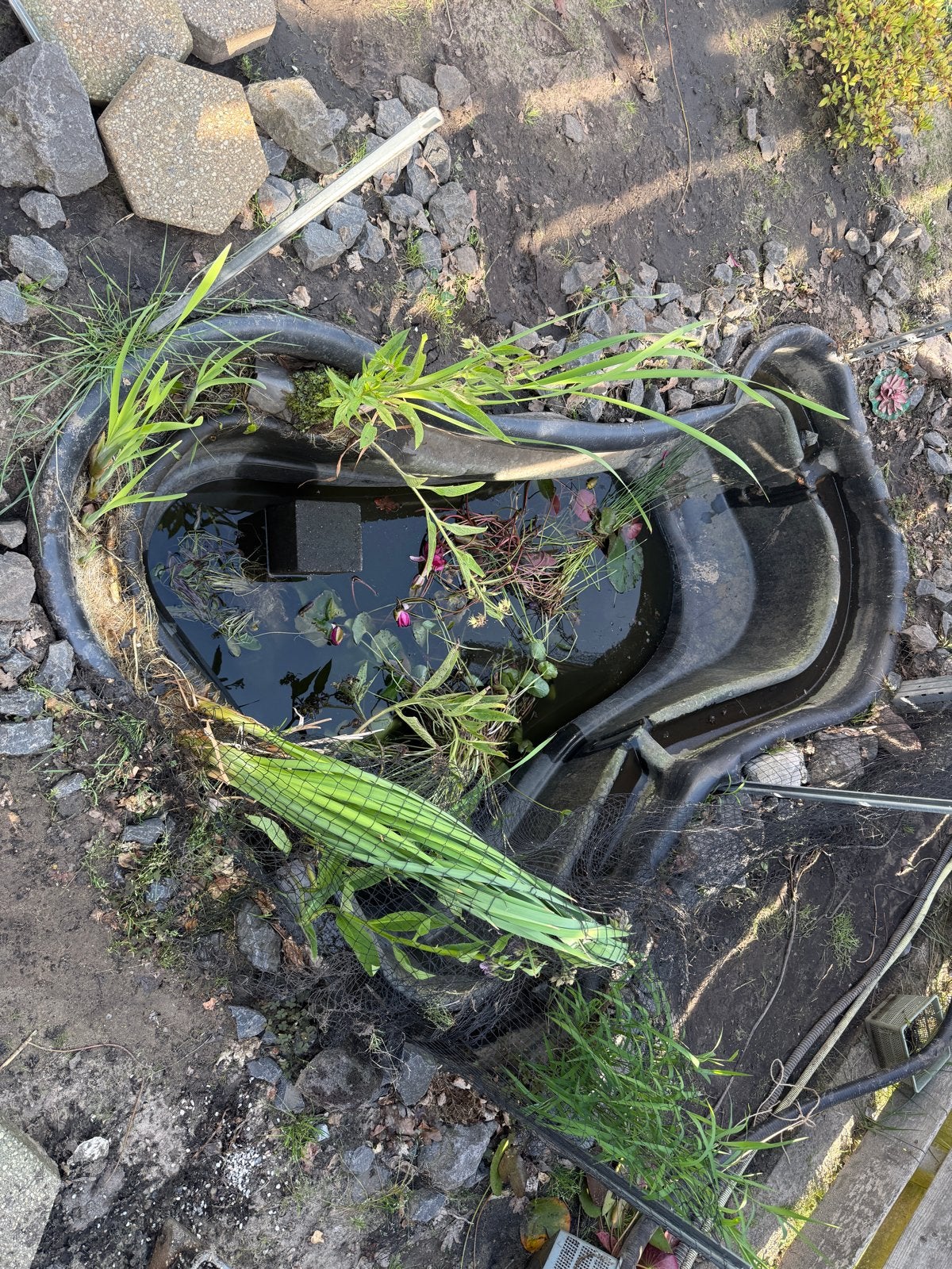 Vijverbak voor tuin, Ophalen, Gebruikt