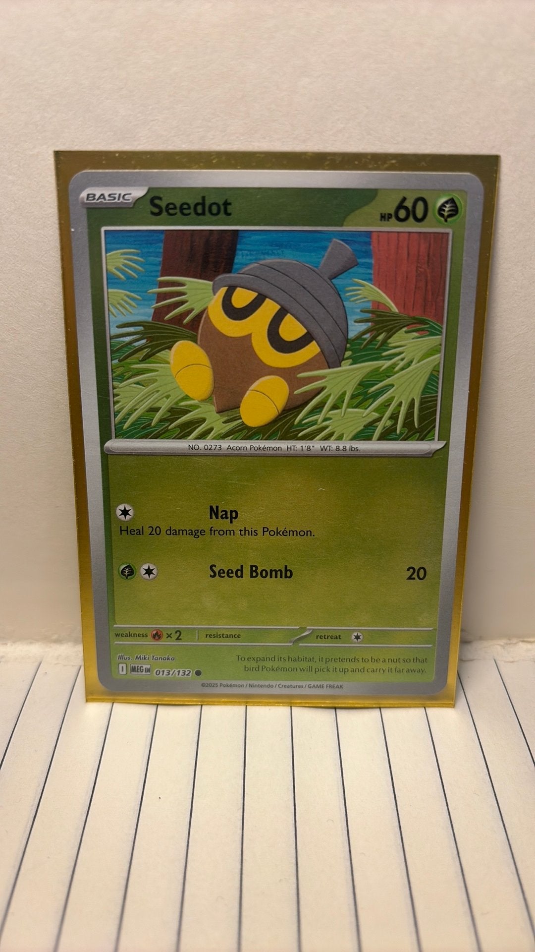 Seedot 013/132 mega evolution reverse holo pokemon kaart, Ophalen of Verzenden, Nieuw, Boosterbox