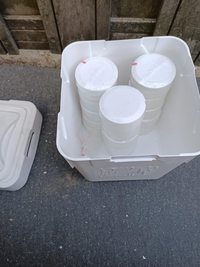 15 stuks 200 grams chloortabletten 5 in 1, Tuin en Terras, Zwembad-toebehoren, Ophalen of Verzenden, Nieuw, Reinigingsmiddel