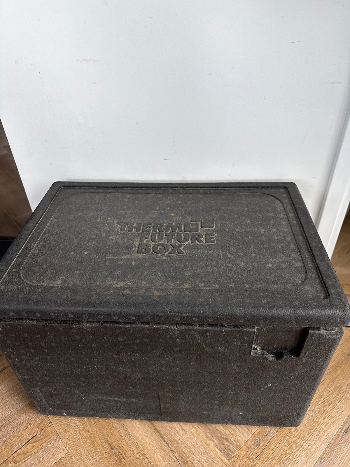 Thermo Future Box - Gebruikte Koelbox, Ophalen of Verzenden, Gebruikt, Koelbox, Koelelement