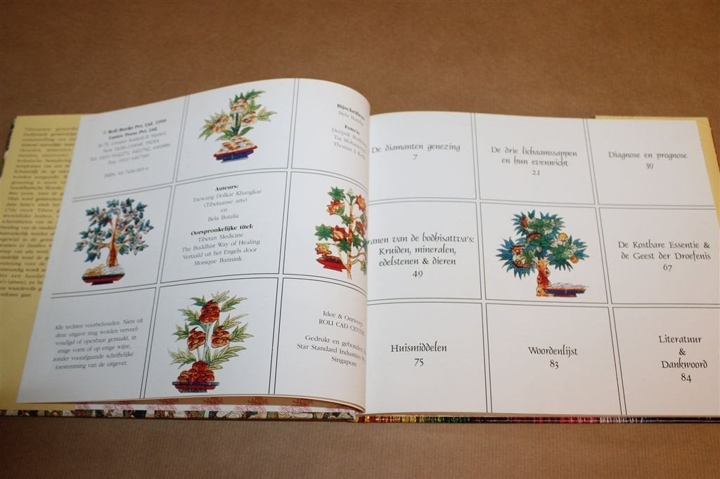 Tibetaanse Geneeskunst — Boeddhistische Geneeswijze, Boeken, Ophalen of Verzenden, Gelezen, Overige onderwerpen, Achtergrond en Informatie