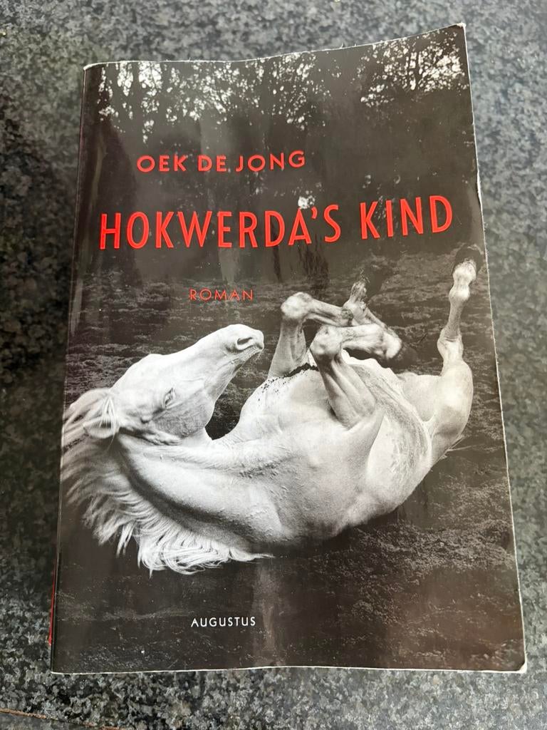 Hokwerda’s kind /Oek de Jong / dikke softcover, Boeken, Ophalen of Verzenden, Gelezen