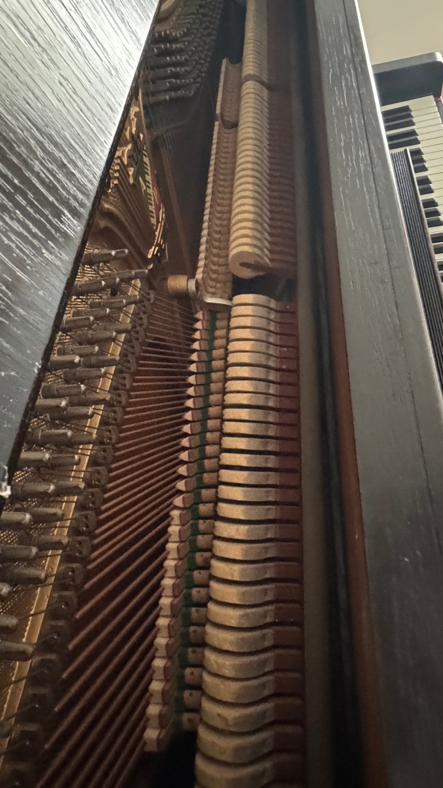 Foto 6 van Petrof Piano - Zwart, Gebruikt
