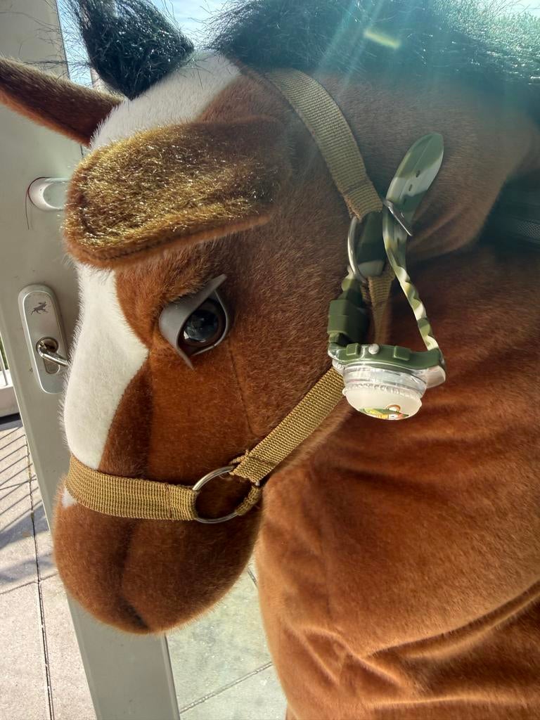Bruin speelgoedpaard met wielen, Ophalen of Verzenden, Gebruikt, Jongen of Meisje