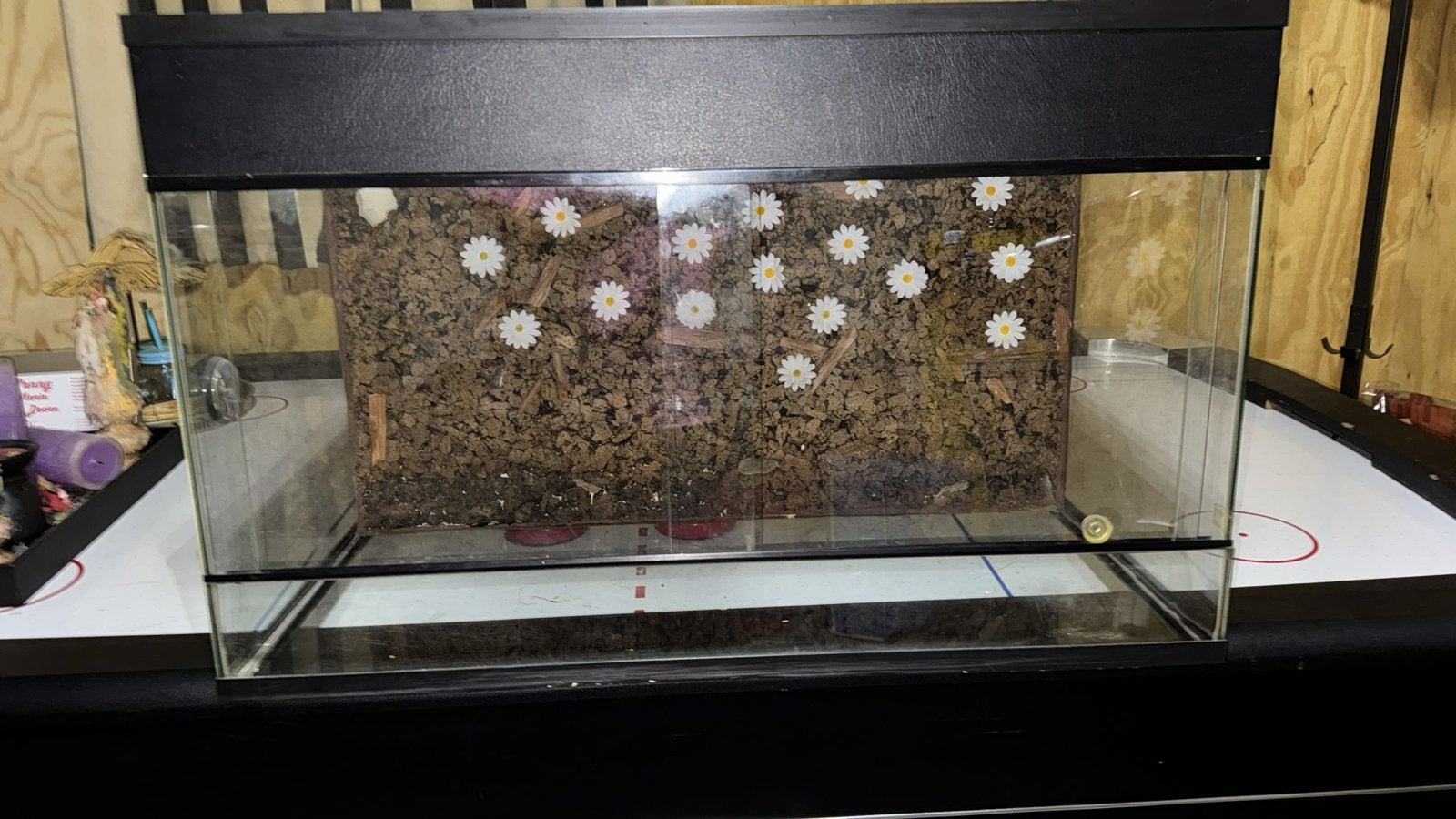 Terarium, Ophalen