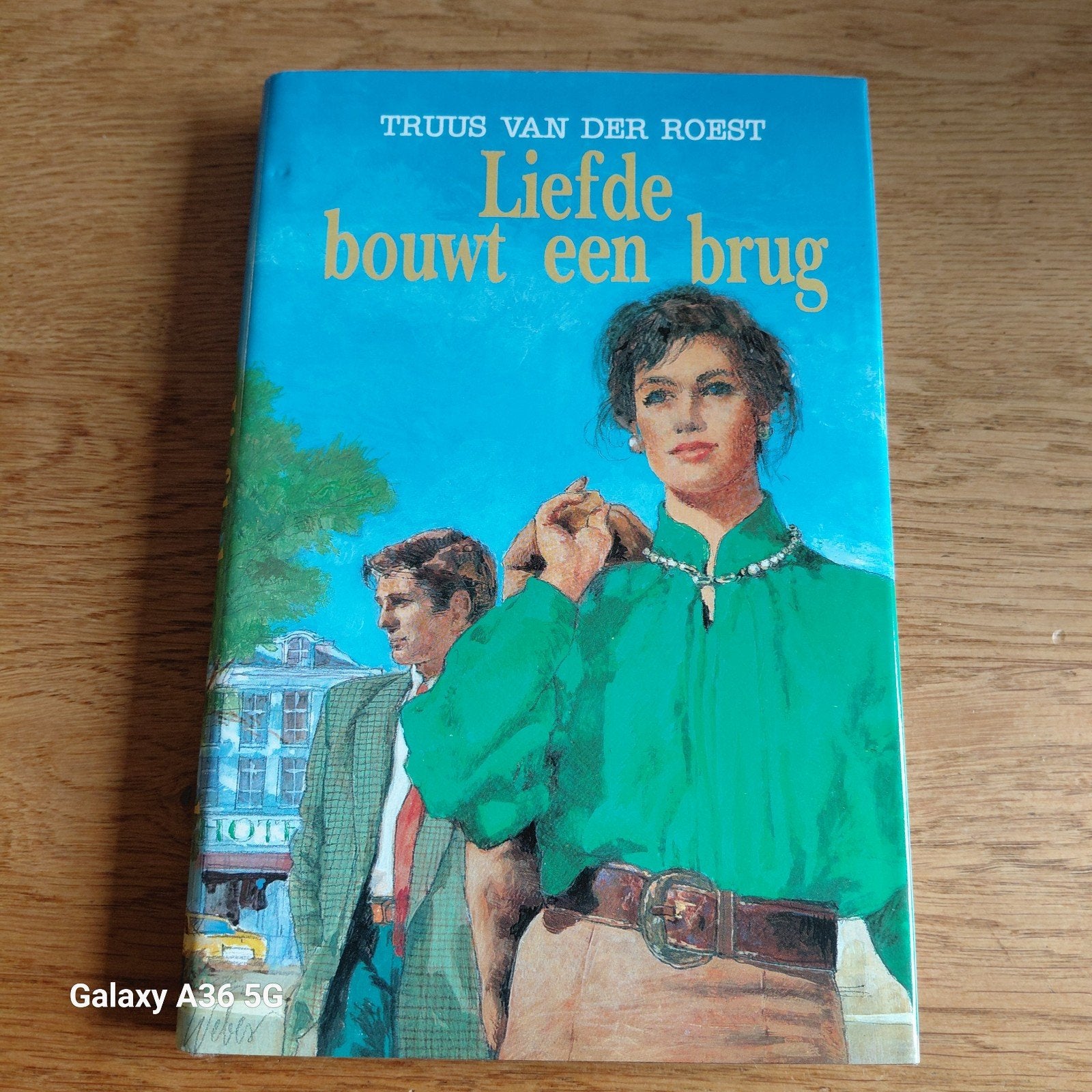 Liefde bouwt een brug - Truus van der Roest, Boeken, Ophalen of Verzenden, Gelezen, Truus van der Roest, Nederland