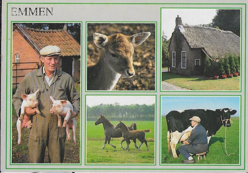 Krt 26 Gelopen ansichtkaart Emmen, Ophalen of Verzenden, 1980 tot heden, Gelopen, Drenthe