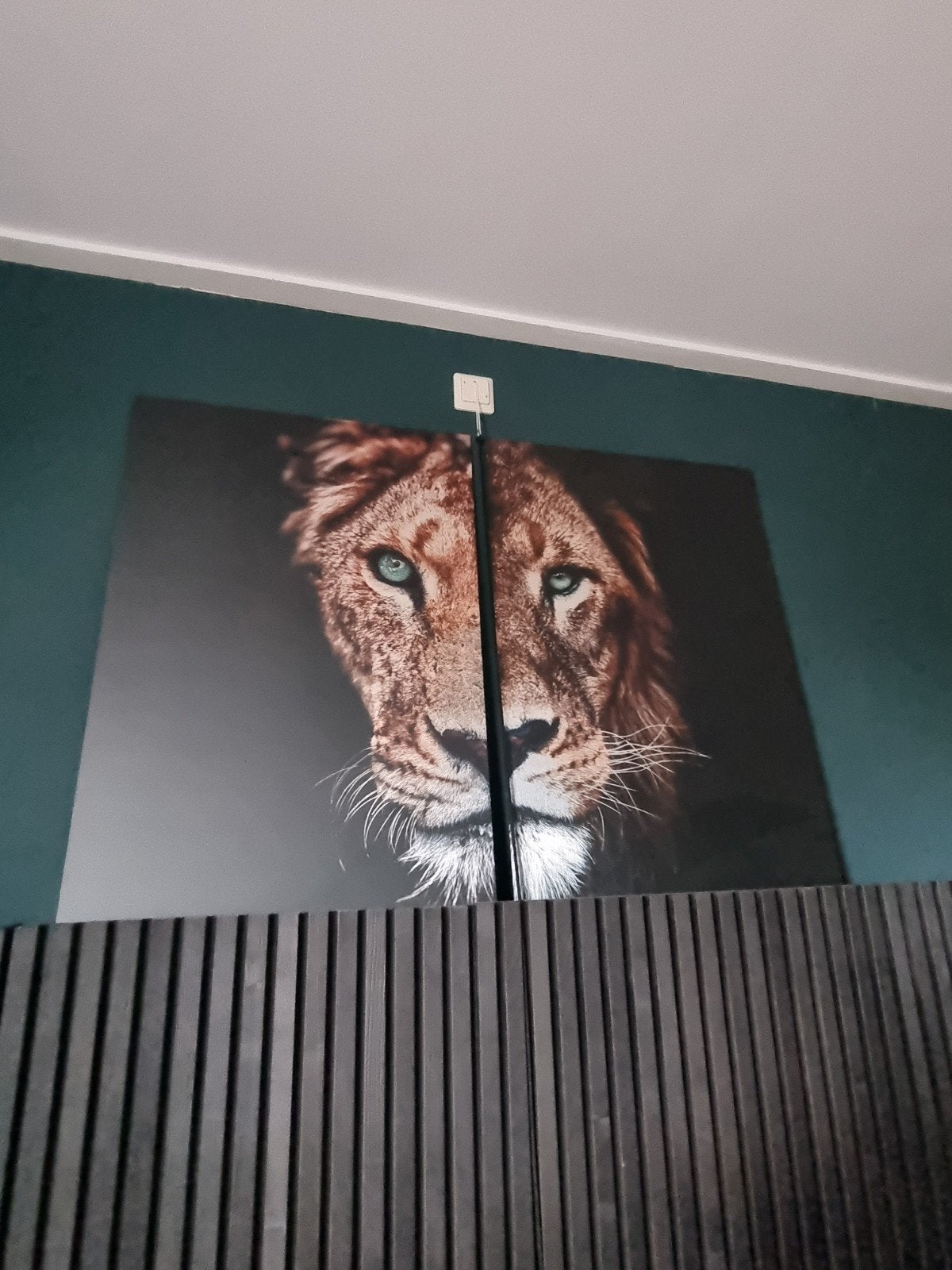 posterjunkie Lion Duet Aluminium Print twee keer 60x90 cm, 50 – 75, Ophalen of Verzenden, 50 tot 75 cm, Print