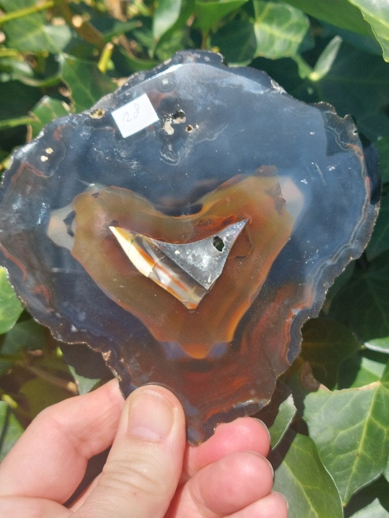 Natuurlijke Agaatschijf met Hartvormige Banden, Verzamelen, Mineralen en Fossielen, Ophalen of Verzenden, Mineraal