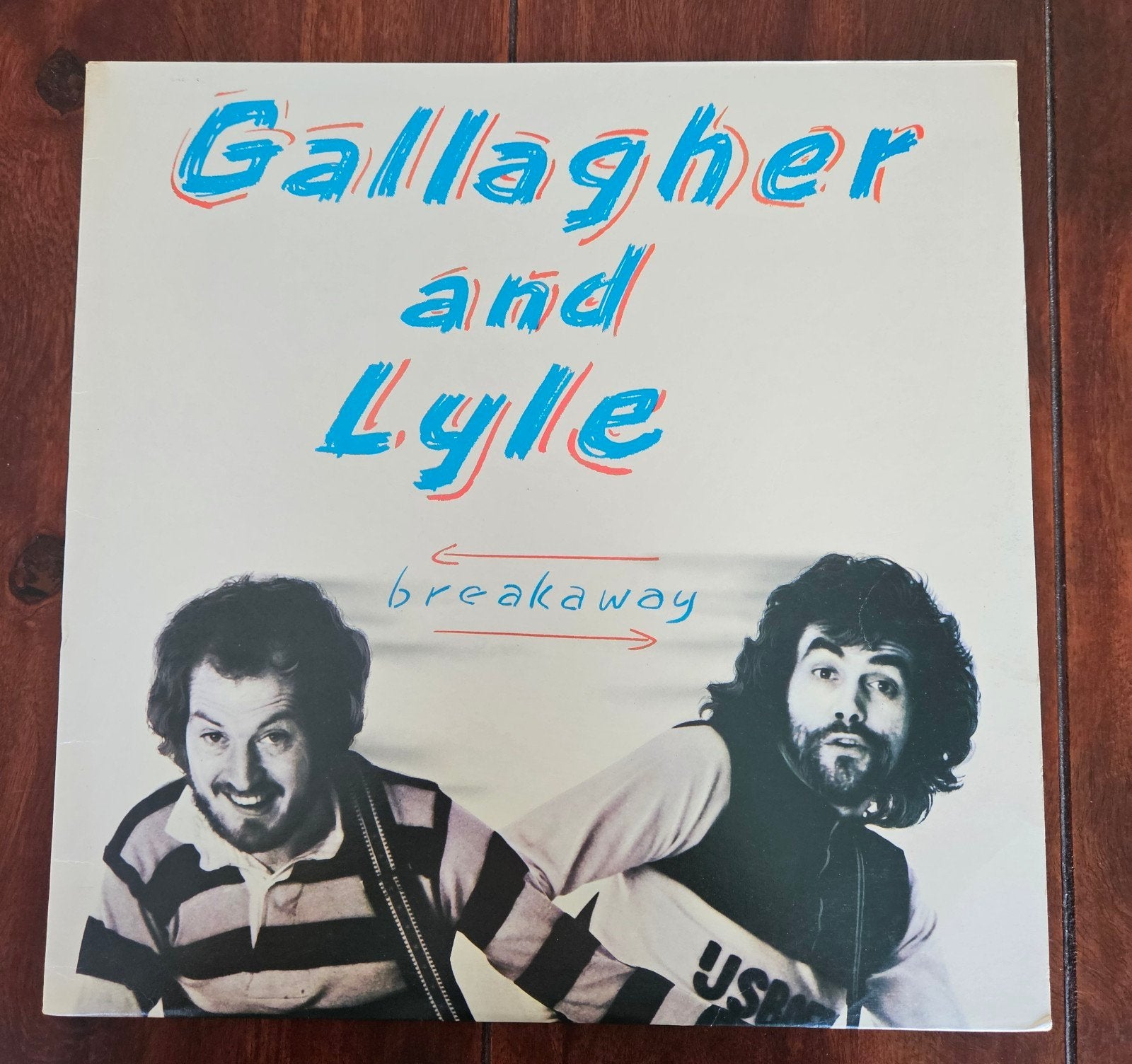 Gallagher and Lyle , breakaway LP, Ophalen of Verzenden, 12 inch, Poprock