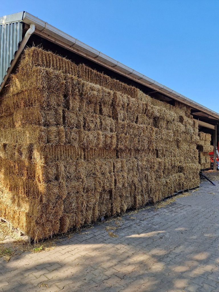 Tarwe stro, Dieren en Toebehoren, Ophalen, Vee