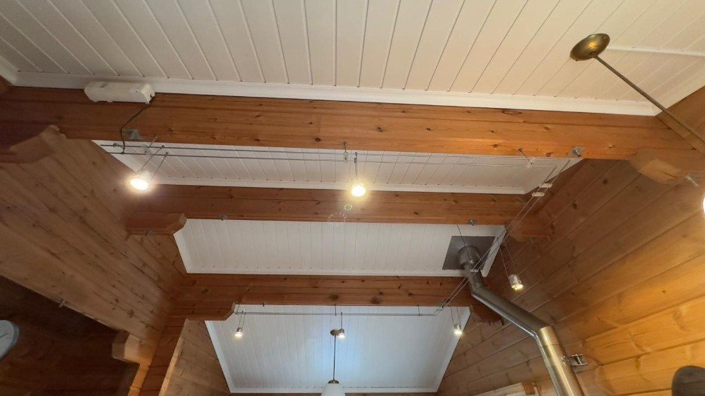 Moderne plafondspots voor (bv.) etalages en kunstgaleries, Huis en Inrichting, Lampen | Spots, Halogeen, Gebruikt, Ophalen of Verzenden
