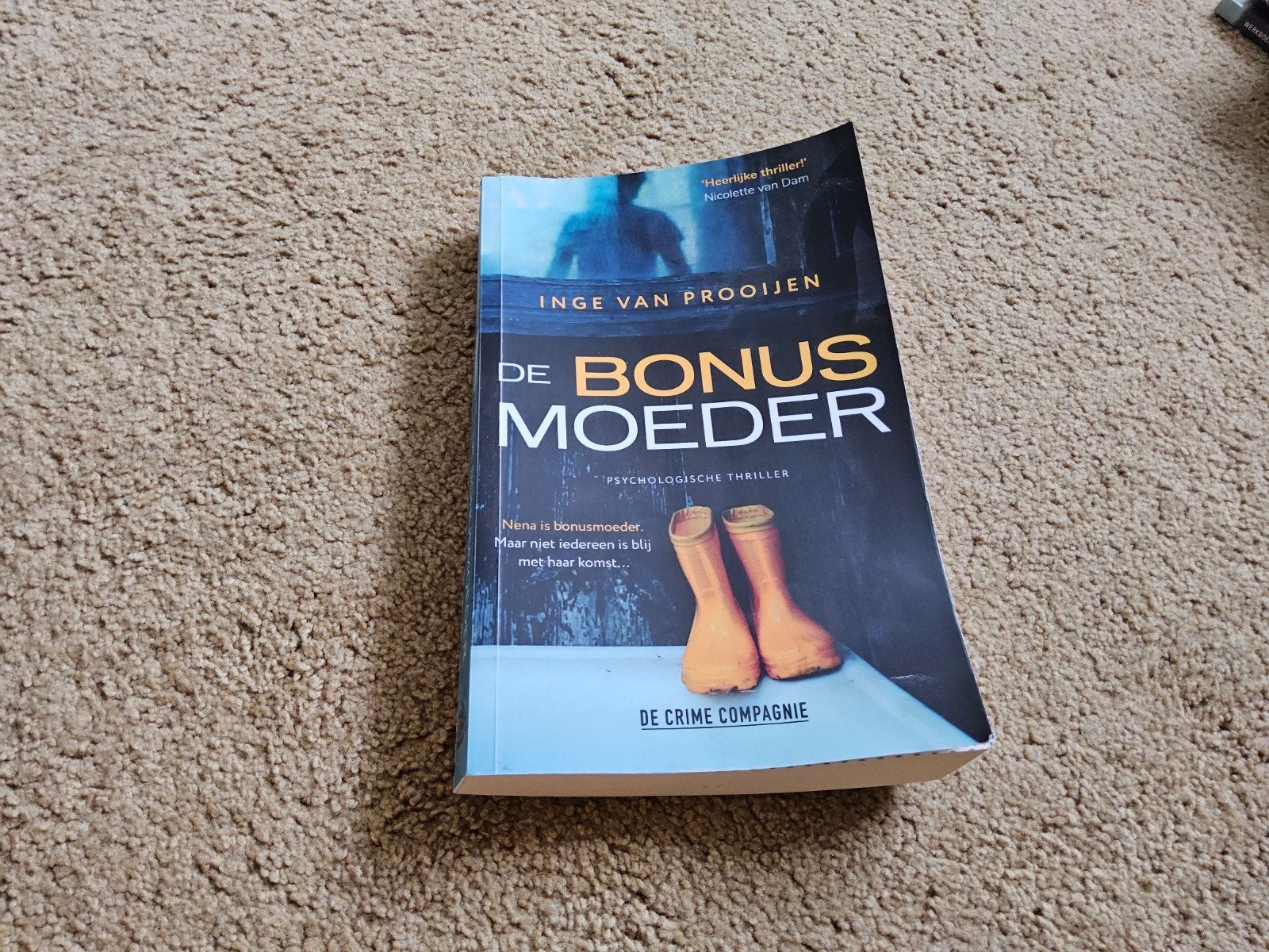 De Bonusmoeder - Inge van Prooijen (Psychologische Thriller), Ophalen of Verzenden, Gelezen, Inge van Prooijen