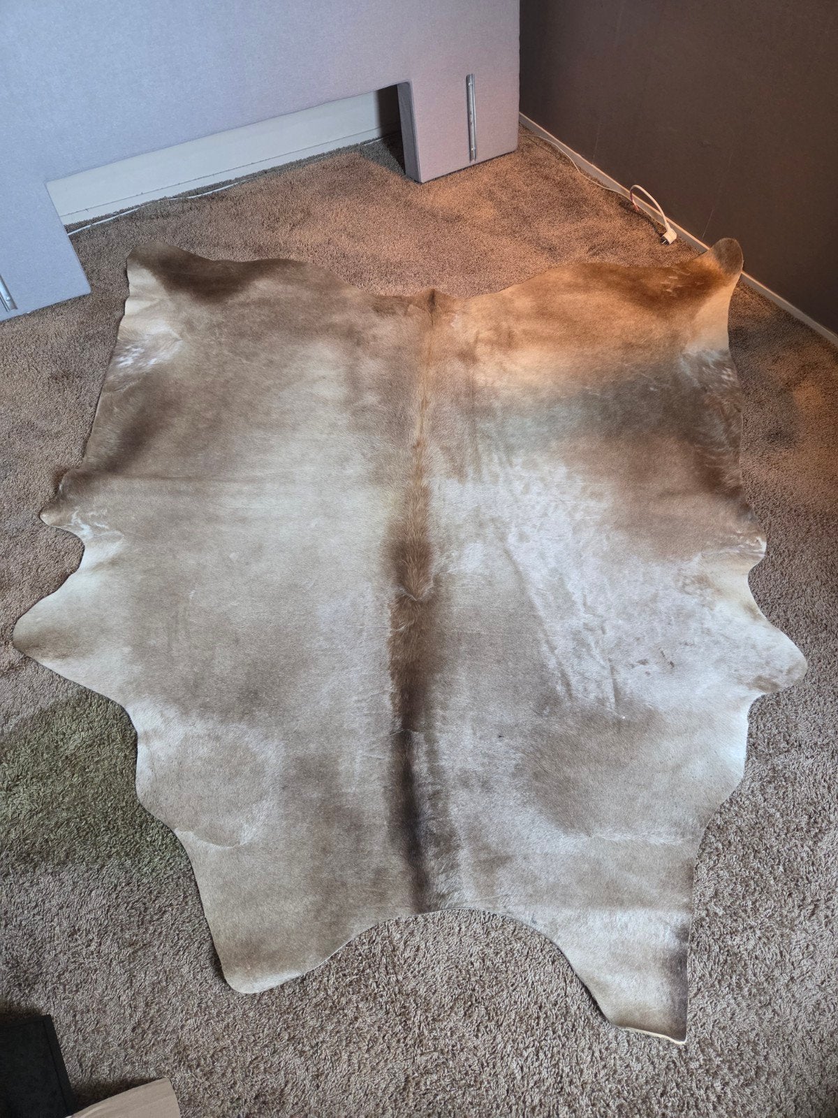 Nieuw koeienhuid vloerkleed - Beige/Bruin, Ophalen, 100 tot 150 cm, Nieuw, Beige