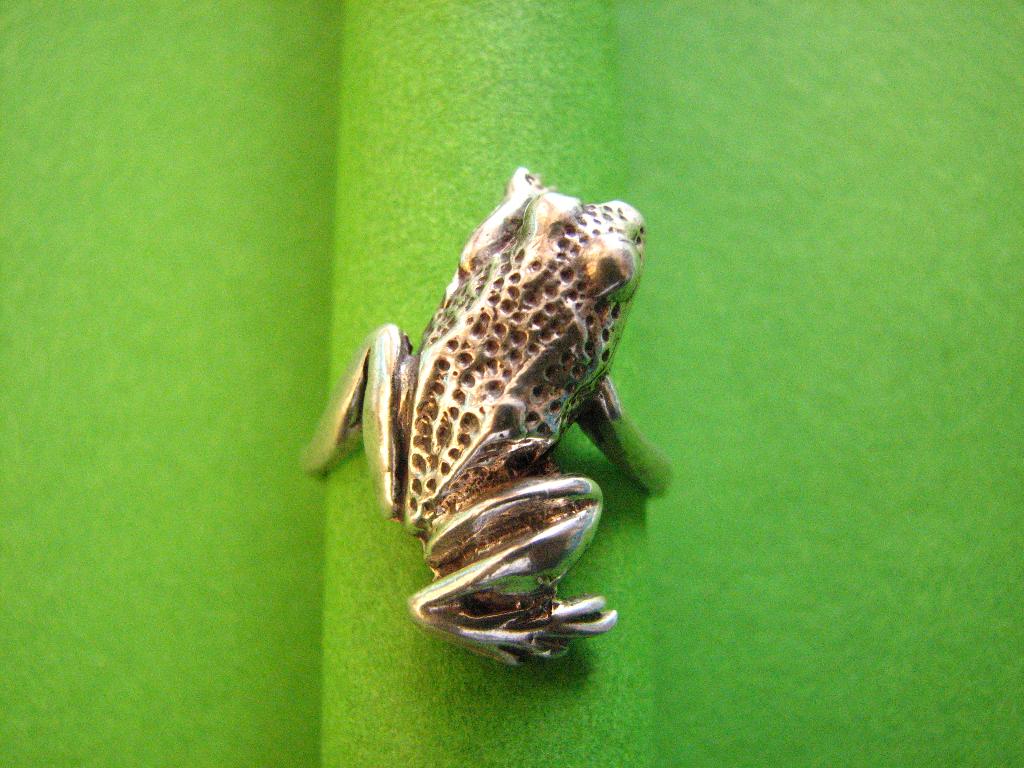 Mooie Zilveren Ring - Grote Kikker, Verzenden, Zilver, Ring