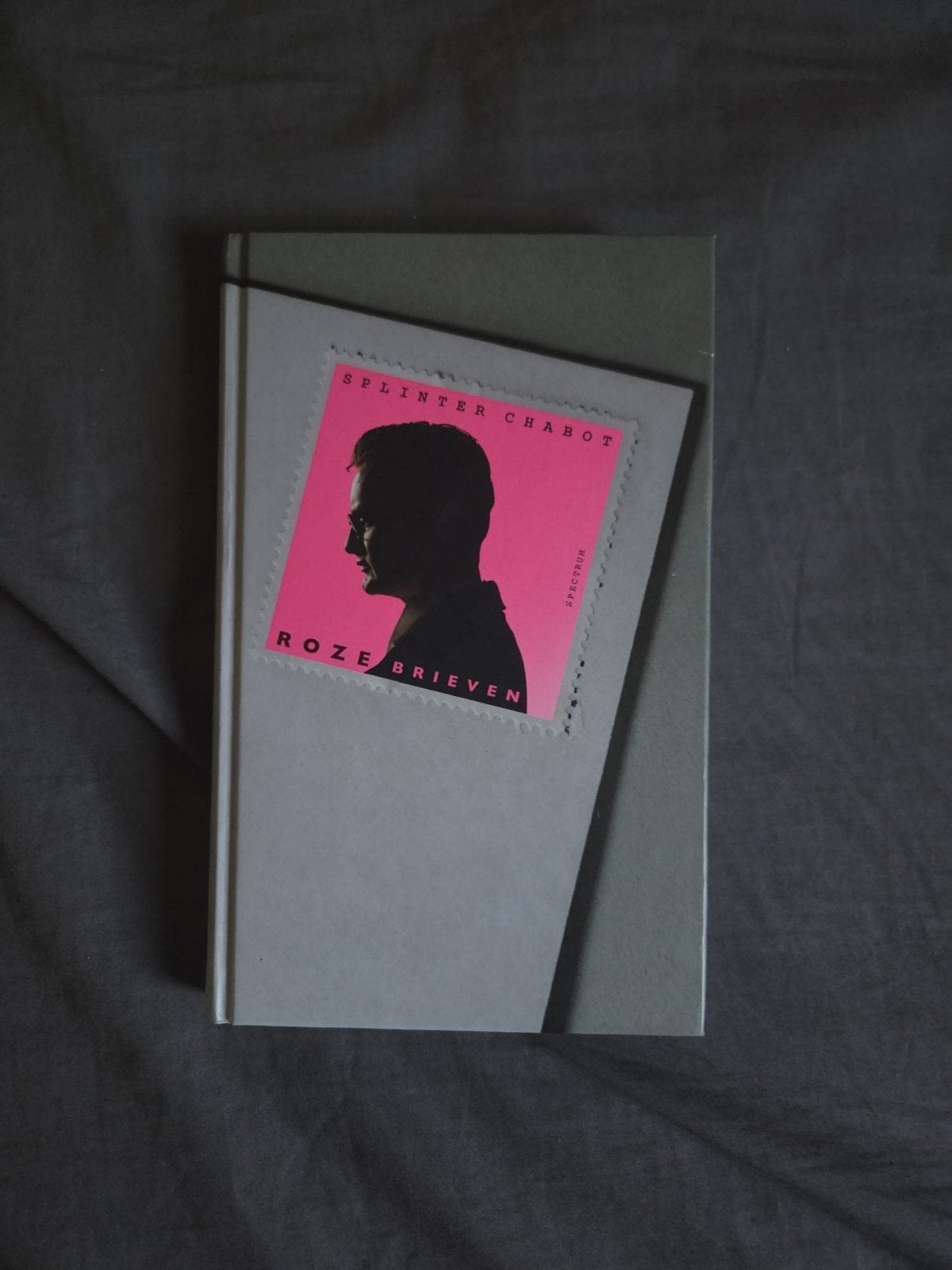 Roze Brieven - Splinter Chabot (Zo goed als nieuw), Boeken, Ophalen of Verzenden, Zo goed als nieuw, Splinter Chabot, Nederland