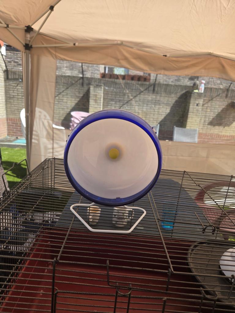 Loopwiel hamster , muis, Ophalen, Zo goed als nieuw, Loopwiel of Rad