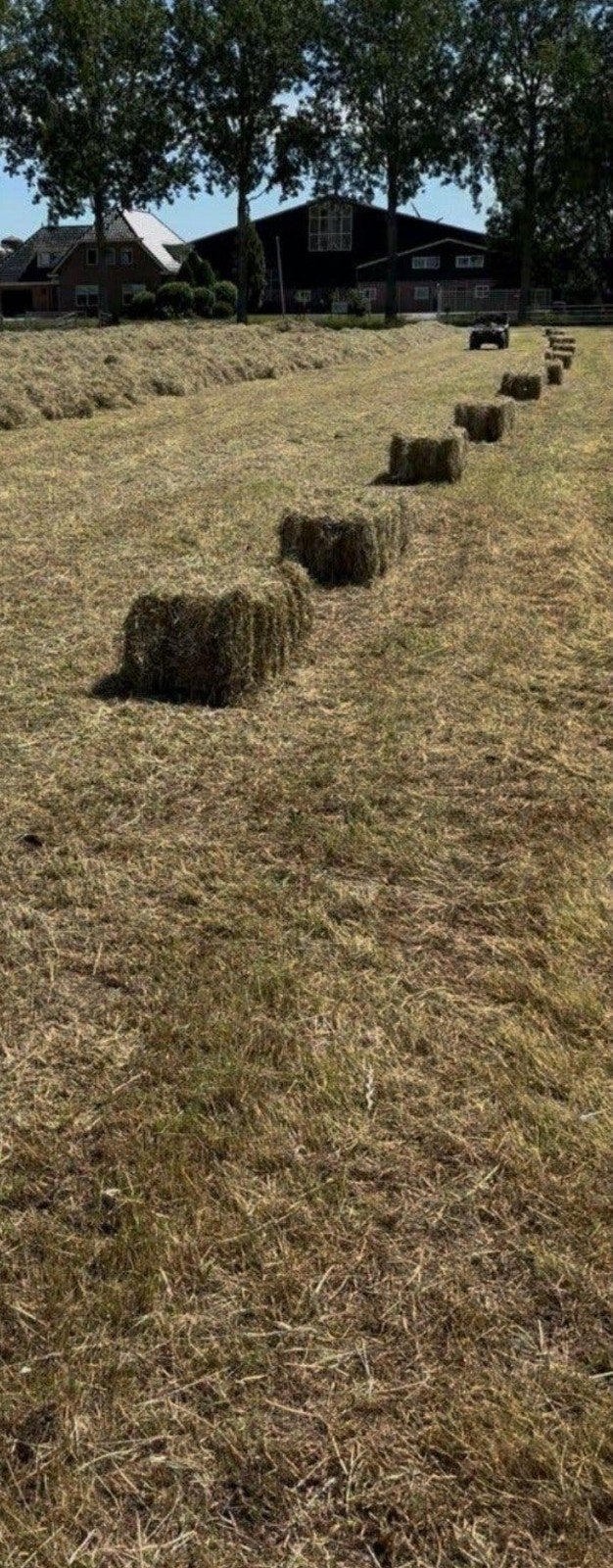paardenhooi te koop, Dieren en Toebehoren, Ophalen, Vee