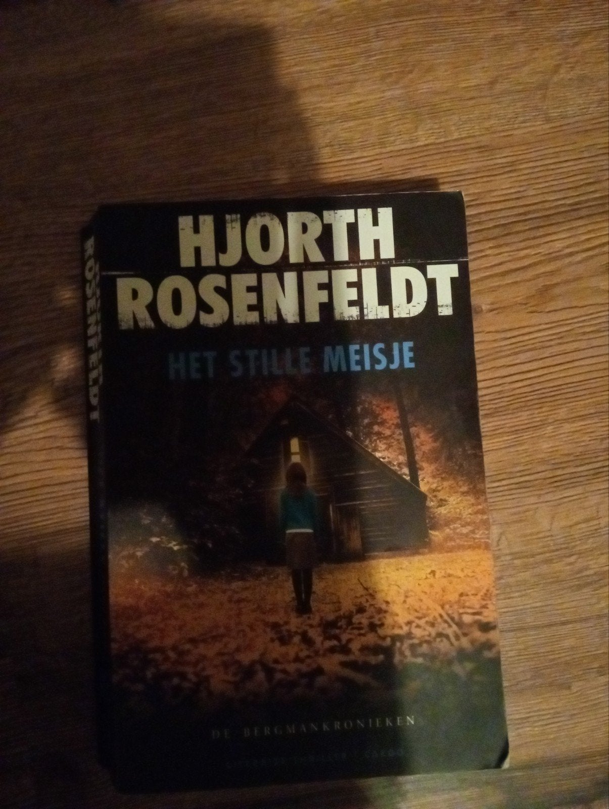 Hjorth Rosenfeldt - Het stille meisje, Scandinavië, Ophalen of Verzenden, Zo goed als nieuw, Hjorth Rosenfeldt