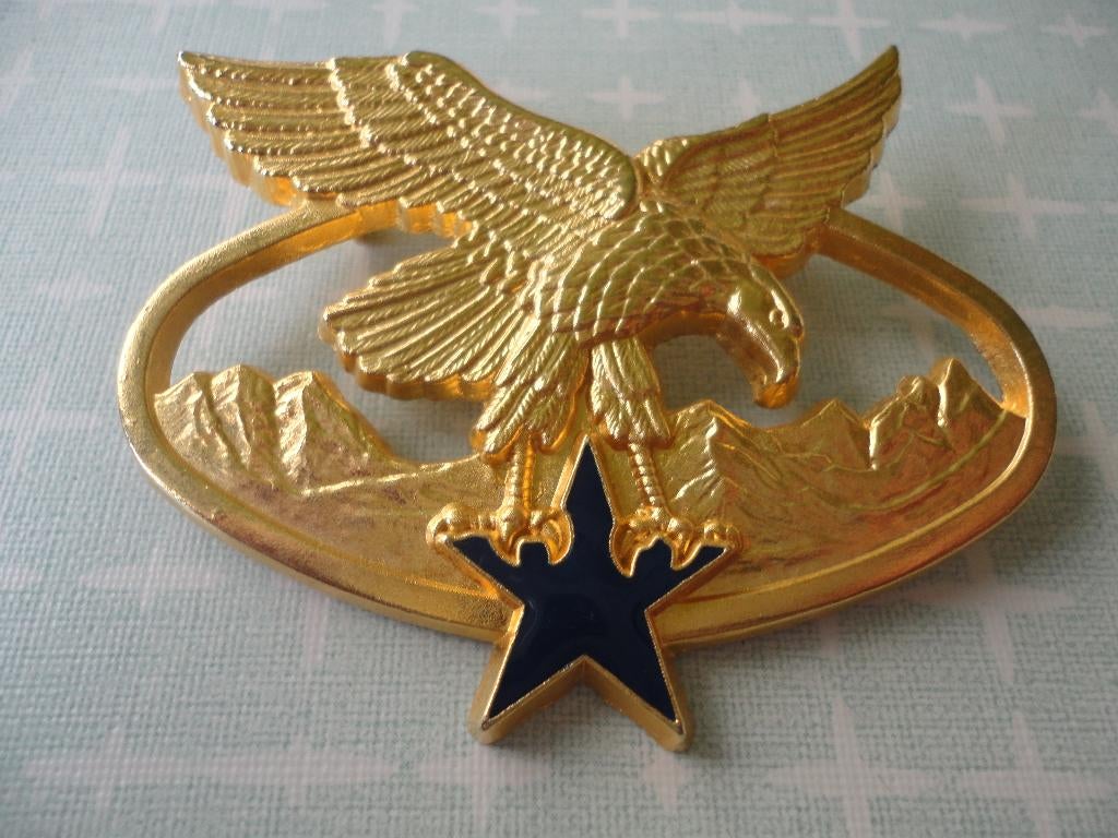 Franse militaire onderscheiding, Bergtroepen, Verzenden, Landmacht, Overige gebieden, Lintje, Medaille of Wings